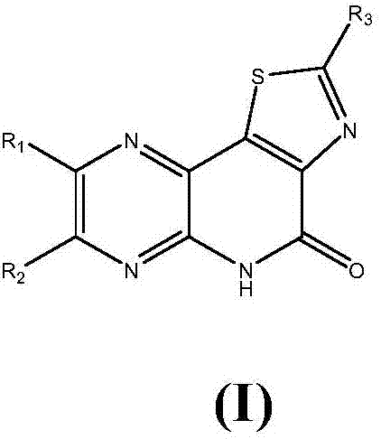 Medicine for preventing and treating myocardial ischemia and preparation method thereof