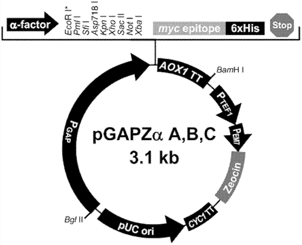 Method for eliminating dependence of methanol-induced promoter on single methanol carbon source