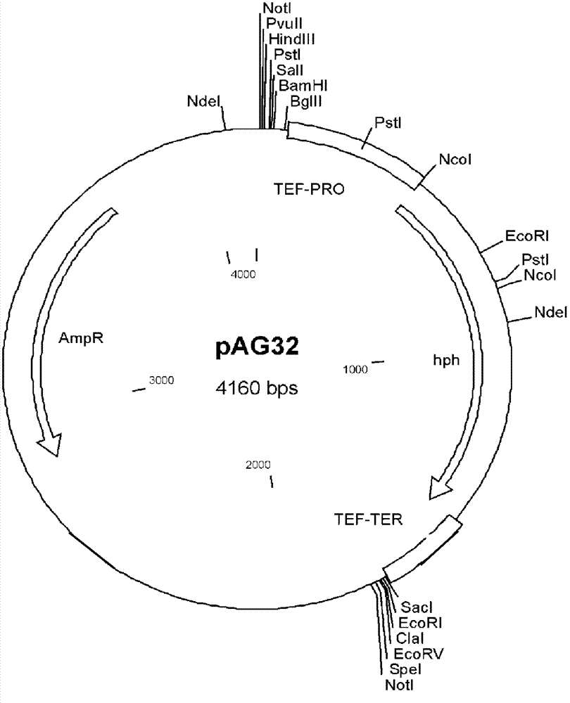 Method for eliminating dependence of methanol-induced promoter on single methanol carbon source