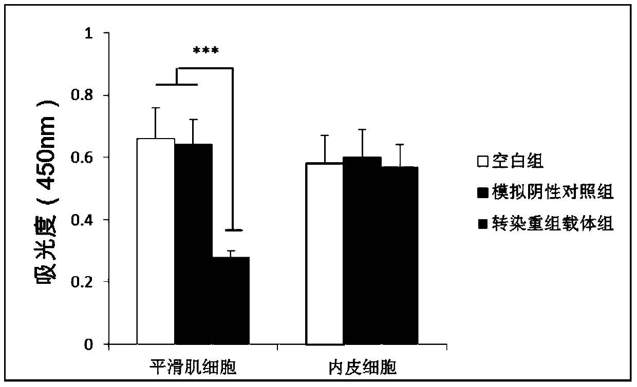 A kind of adenovirus vector and application thereof for specifically inhibiting proliferation and migration of smooth muscle cells