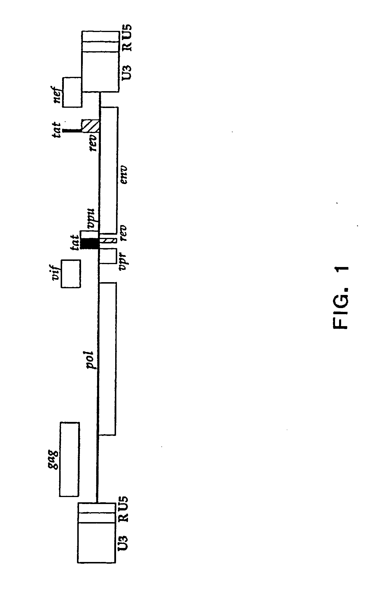 Compositions and methods for determining the susceptibility of a pathogenic virus to protease inhibitors