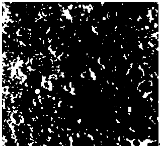 A kind of graphene anticorrosion coating for photovoltaic equipment and preparation method thereof