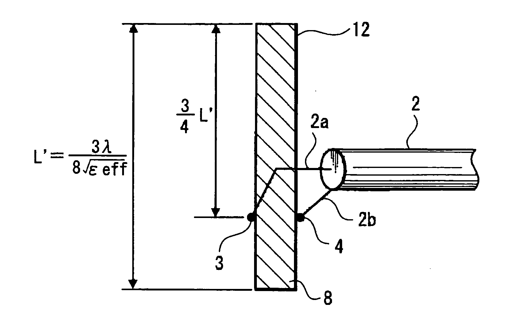 Wireless communication apparatus