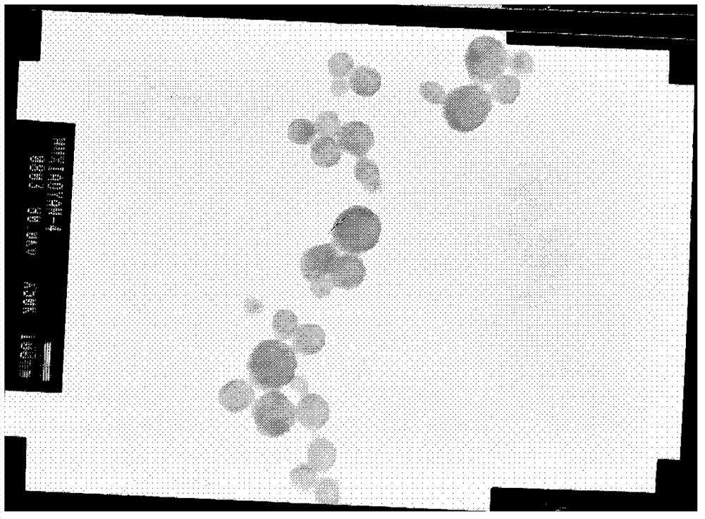 Preparation method for hypericin albumin nanometer particles