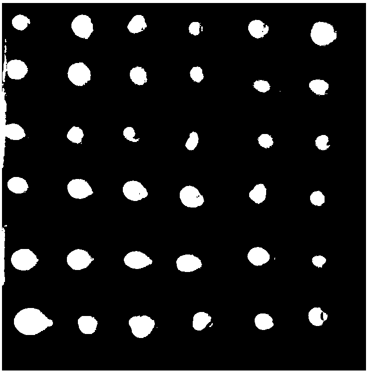 High-temperature speckle and controllable preparation method