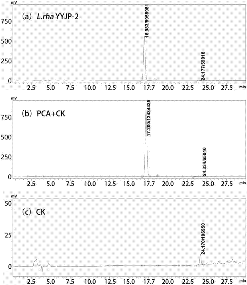 Method for carrying out whole-cell catalysis on natural anthocyanin by utilizing microorganisms and transforming natural anthocyanin into protocatechuic acid and application