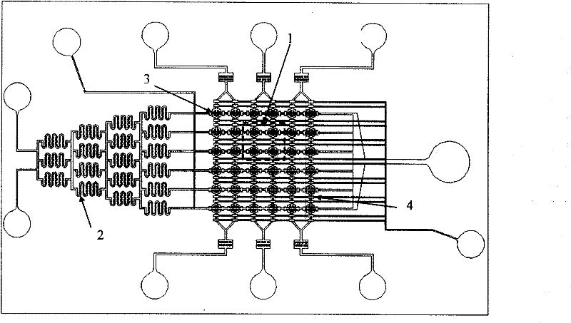 Microfluidic cell array chip for high-throughput medicament screening, method and use