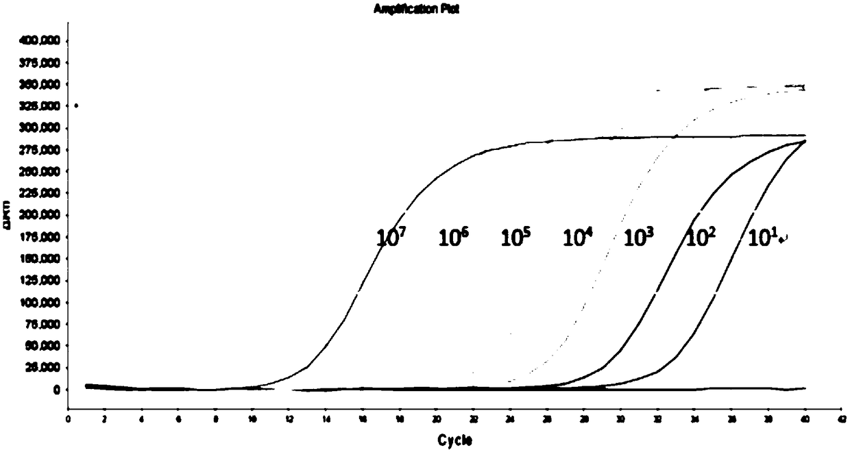 Fluorescent quantitative PCR kit for simultaneous detection of hepatitis B Virus, hepatitis C Virus and human immunodeficiency virus Type 1