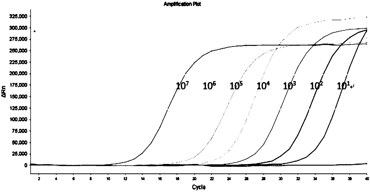 Fluorescent quantitative PCR kit for simultaneous detection of hepatitis B Virus, hepatitis C Virus and human immunodeficiency virus Type 1