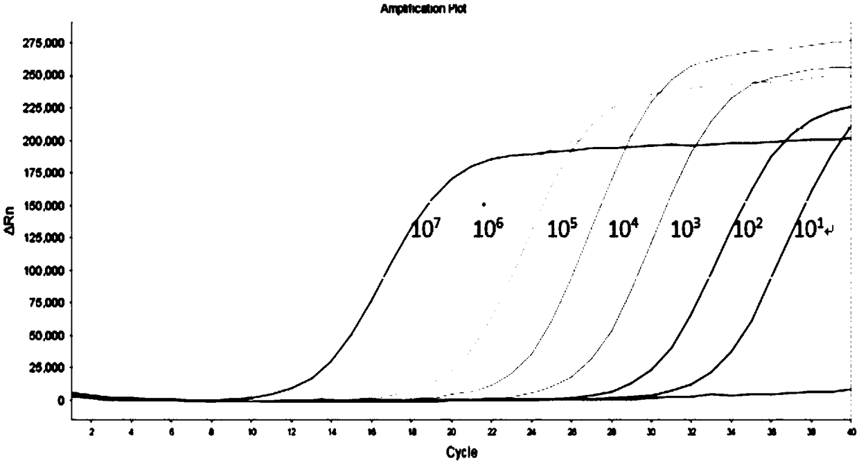 Fluorescent quantitative PCR kit for simultaneous detection of hepatitis B Virus, hepatitis C Virus and human immunodeficiency virus Type 1