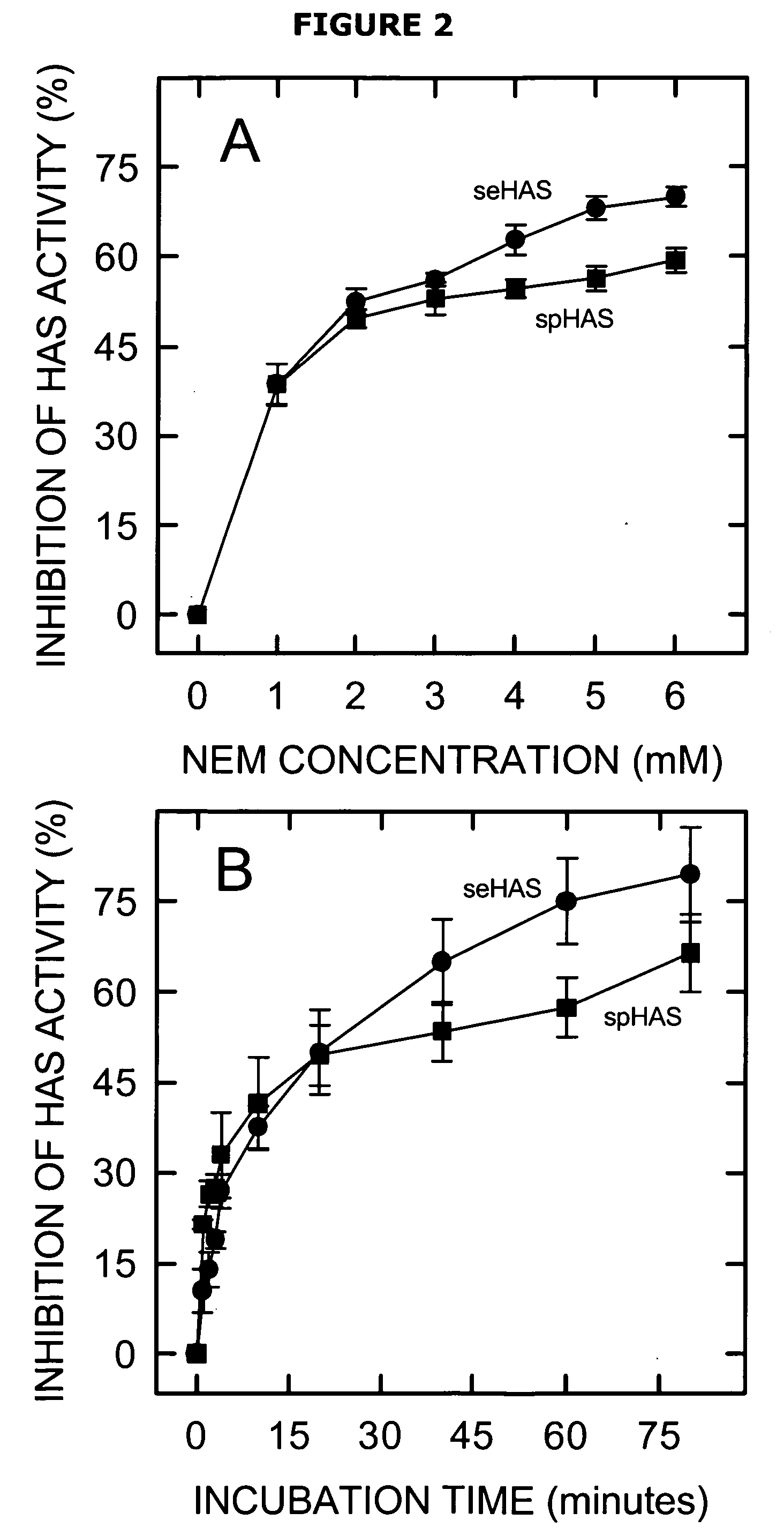 Hyaluronan synthases and methods of making and using same