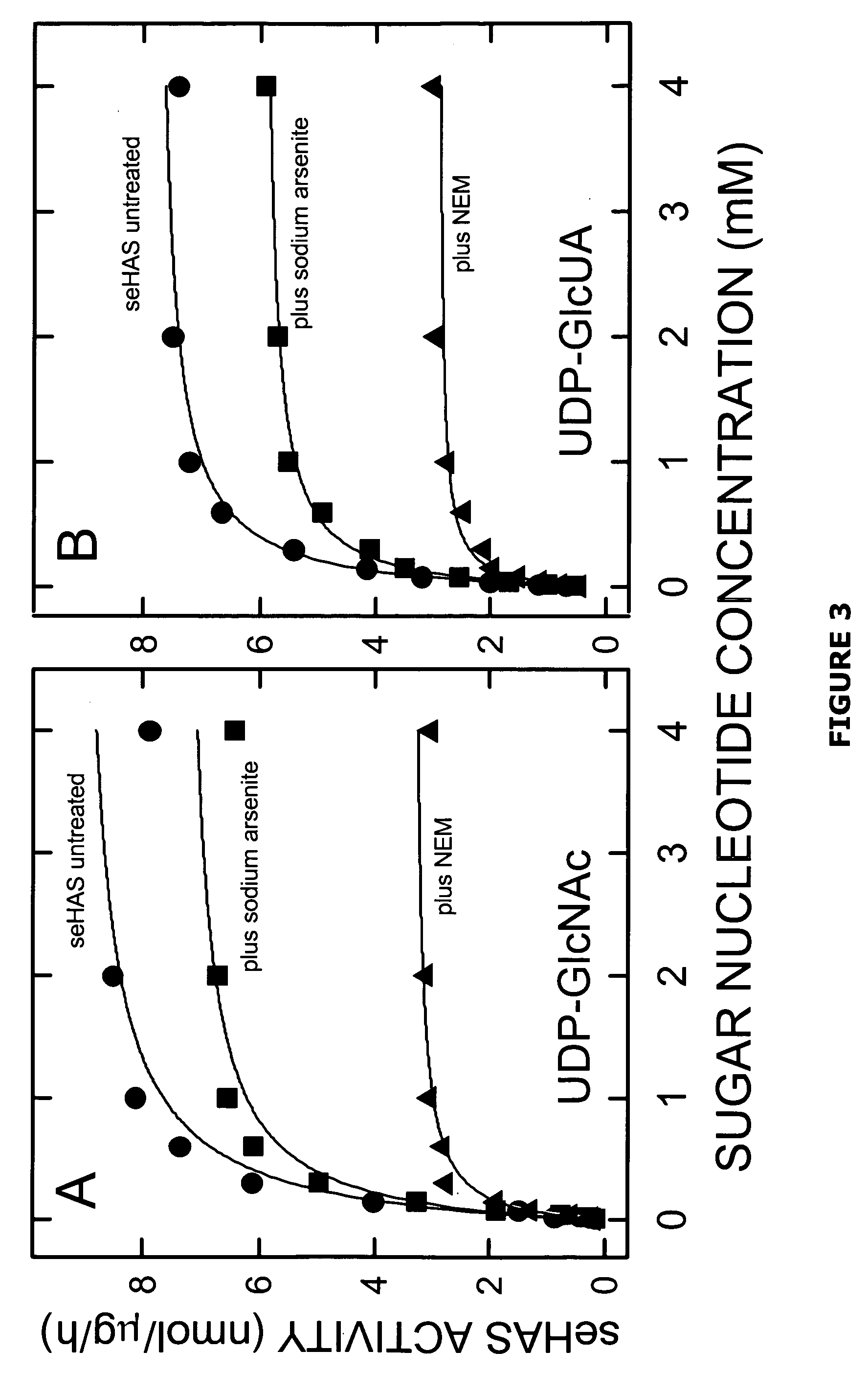 Hyaluronan synthases and methods of making and using same