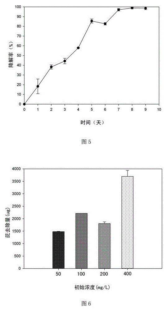 Polycyclic aromatic hydrocarbon removal composite material, and preparation method and use thereof