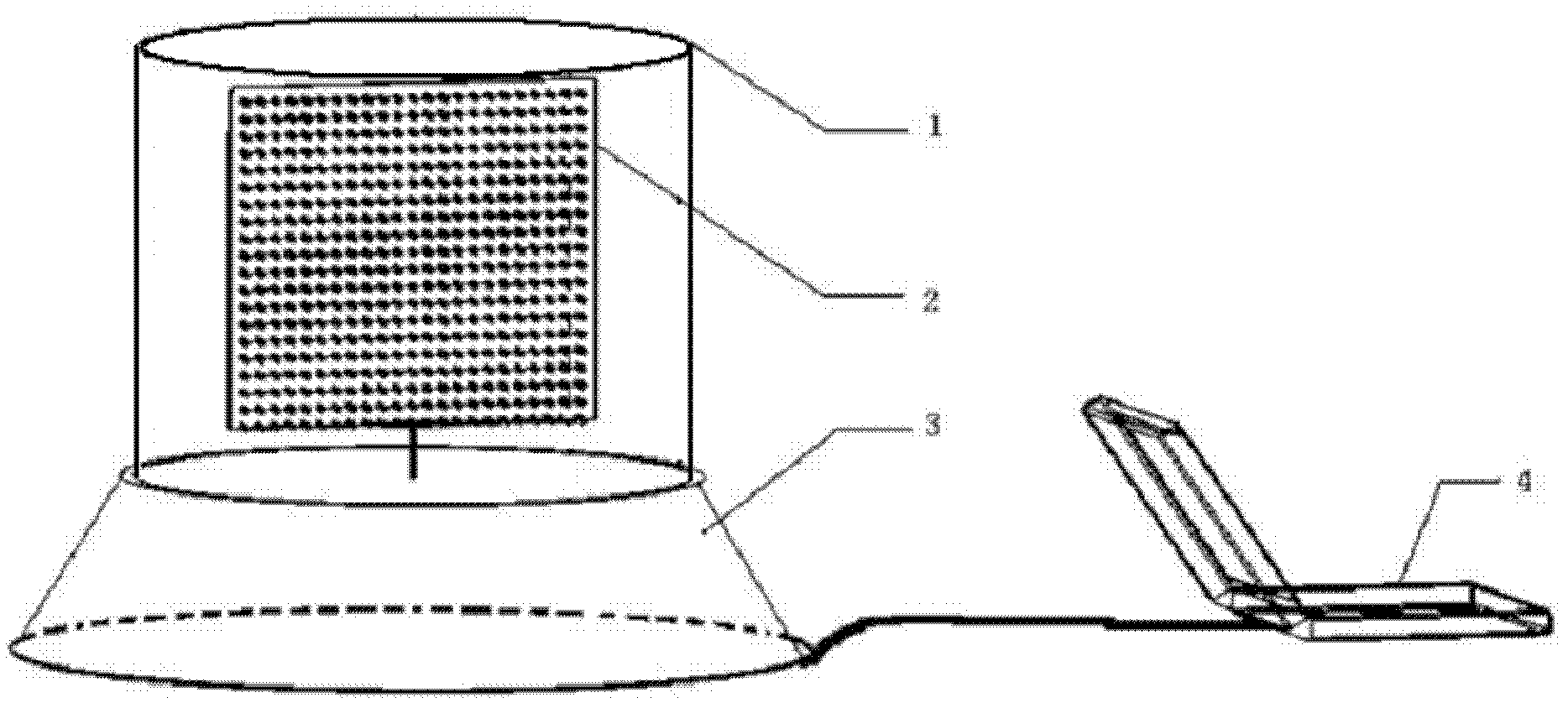 Naked eye 3D (Three-Dimensional) display system