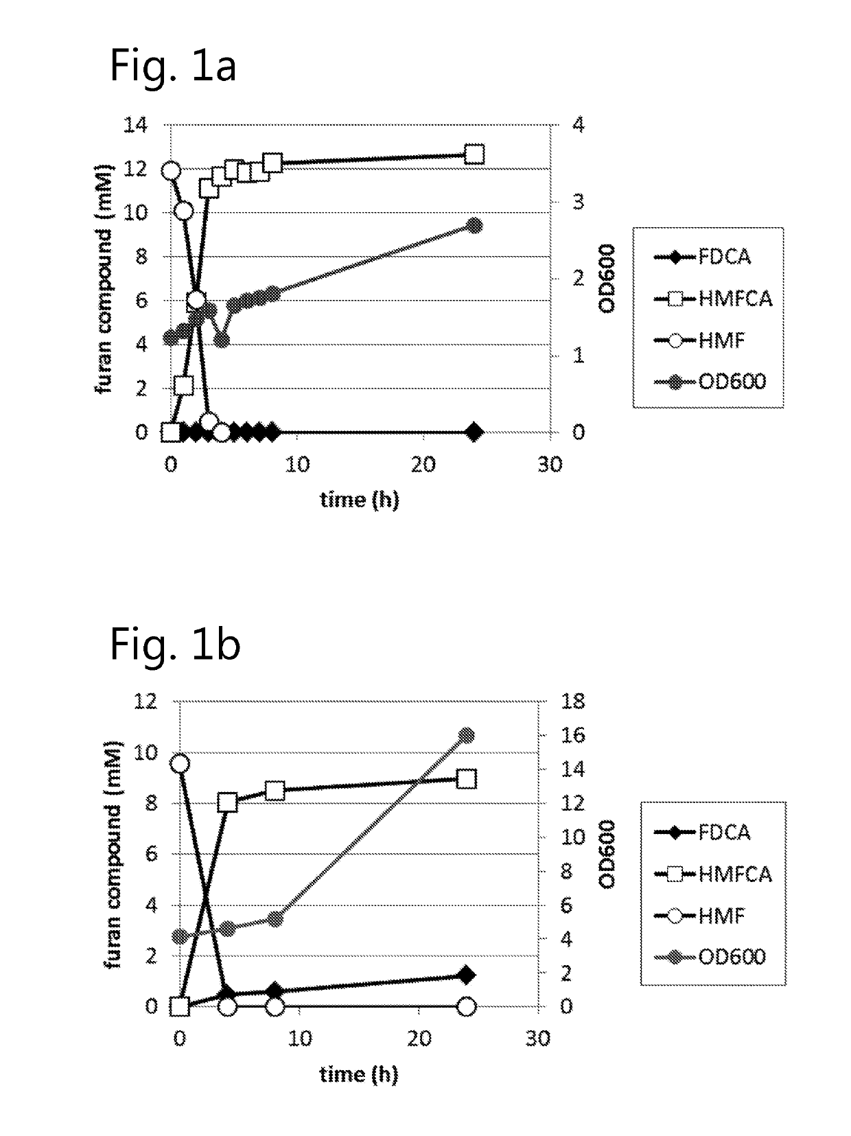 Dehydrogenase-catalysed production of FDCA