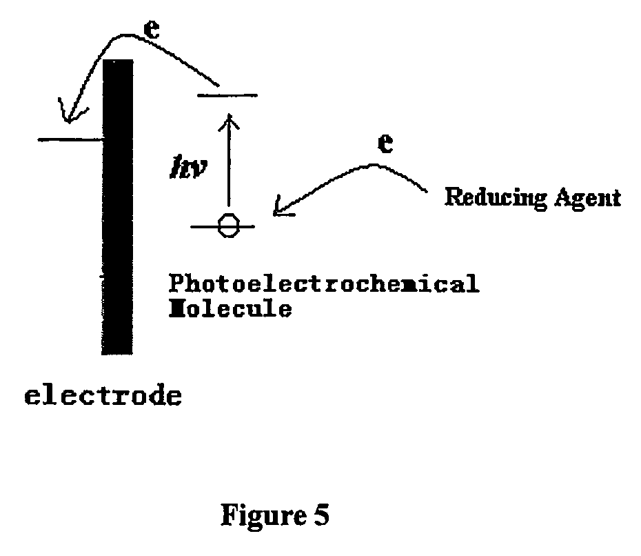 Apparatuses and methods for assaying analytes using photoelectrochemical labels