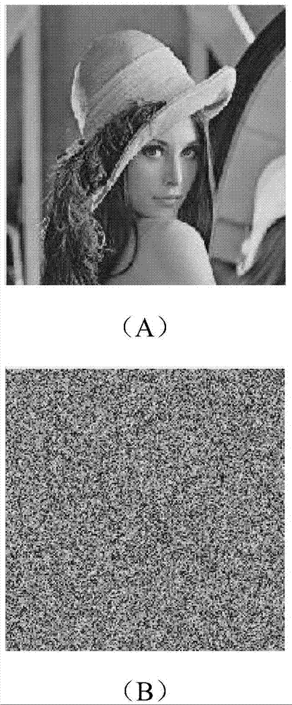 Asymmetric image encryption and decryption method based on quantum cell neural network system