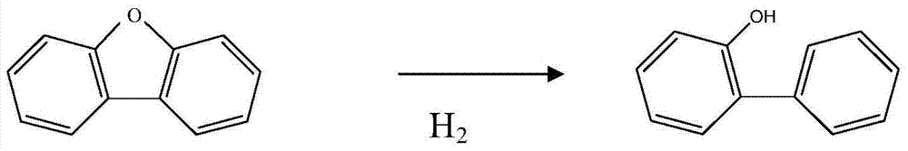 Catalyst composition and preparation method thereof, and method for preparing o-phenylphenol by using catalyst composition