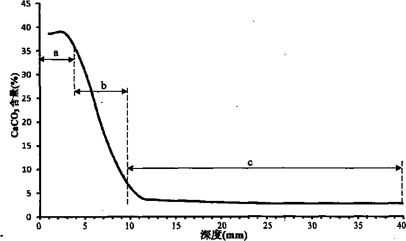 Testing device for carbonization resistance of cement based materials and testing method