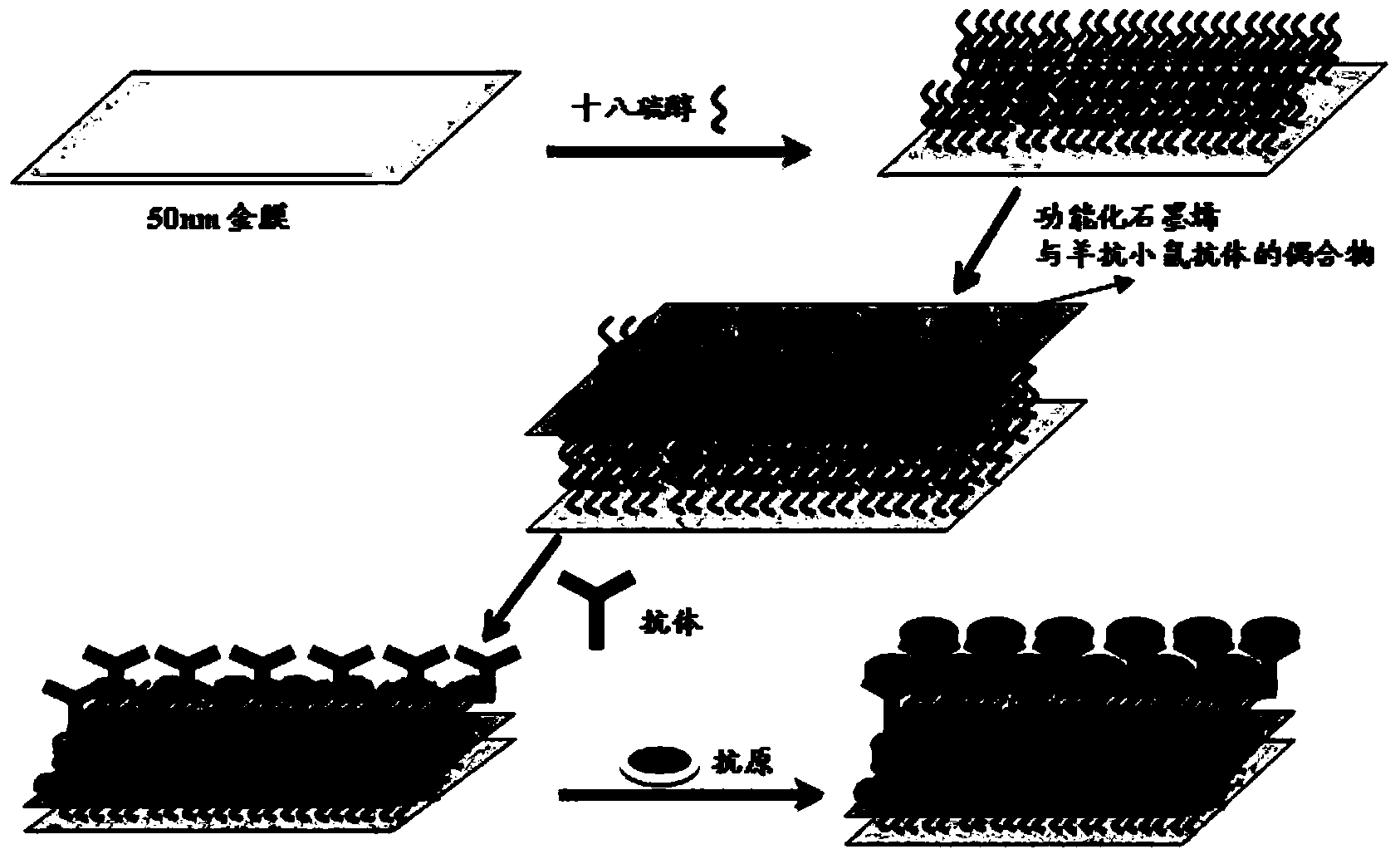 Biosensor sensitive membrane and application in detection of clenbuterol hydrochloride