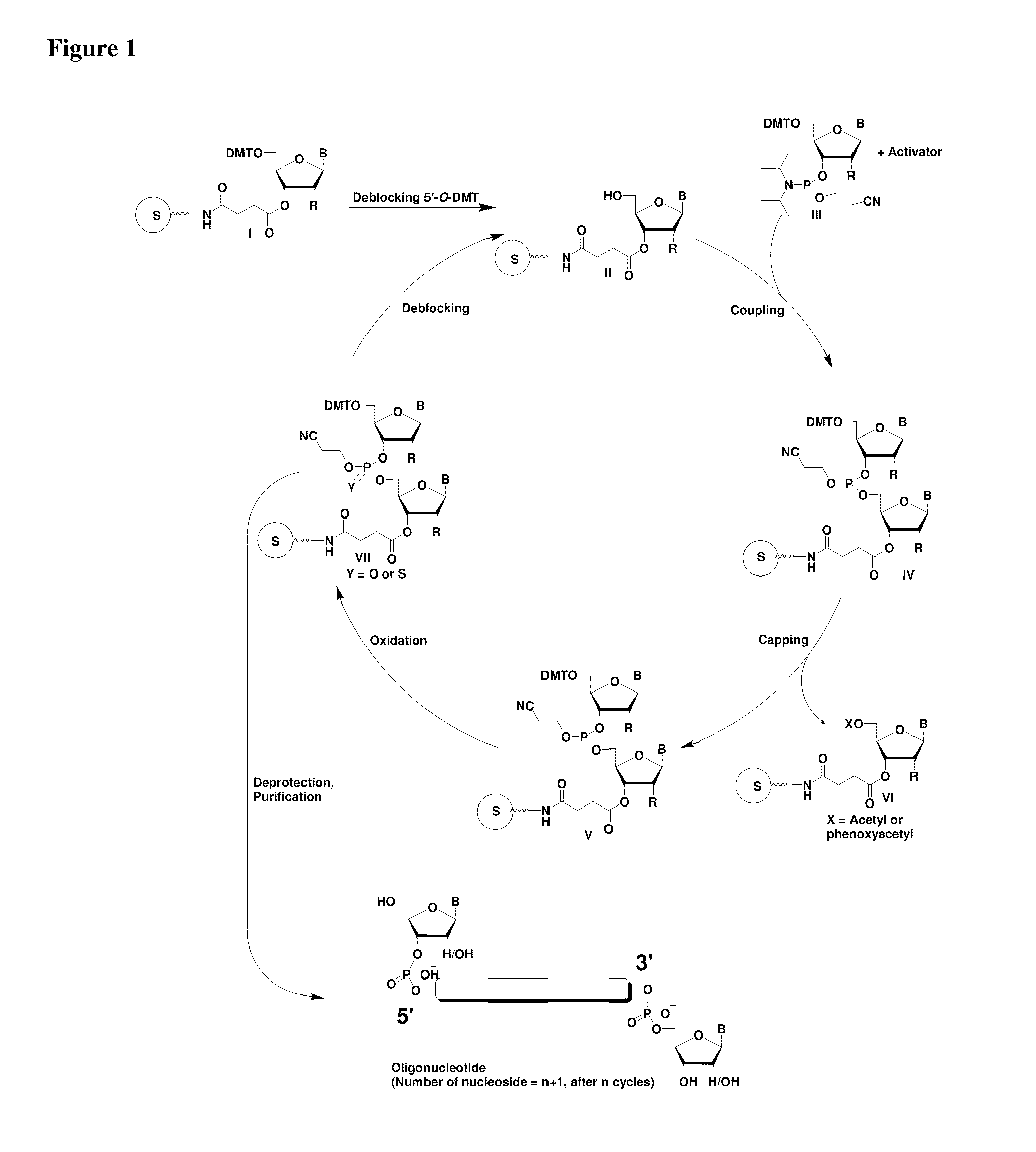 RNAi Agents Comprising Universal Nucleobases