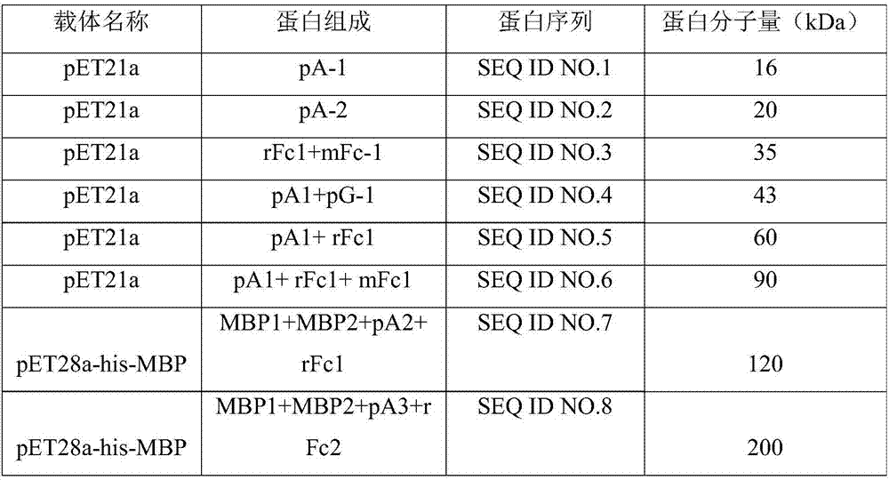 Preparation method of luminescent protein marker