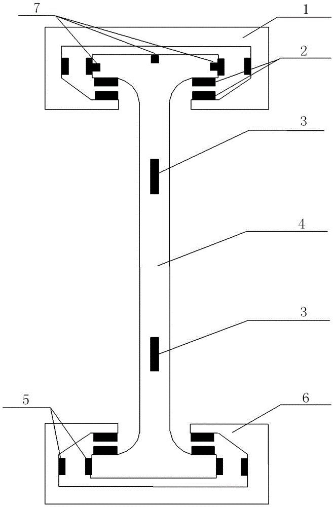 Door body magnetic levitation structure of a door system and control method thereof