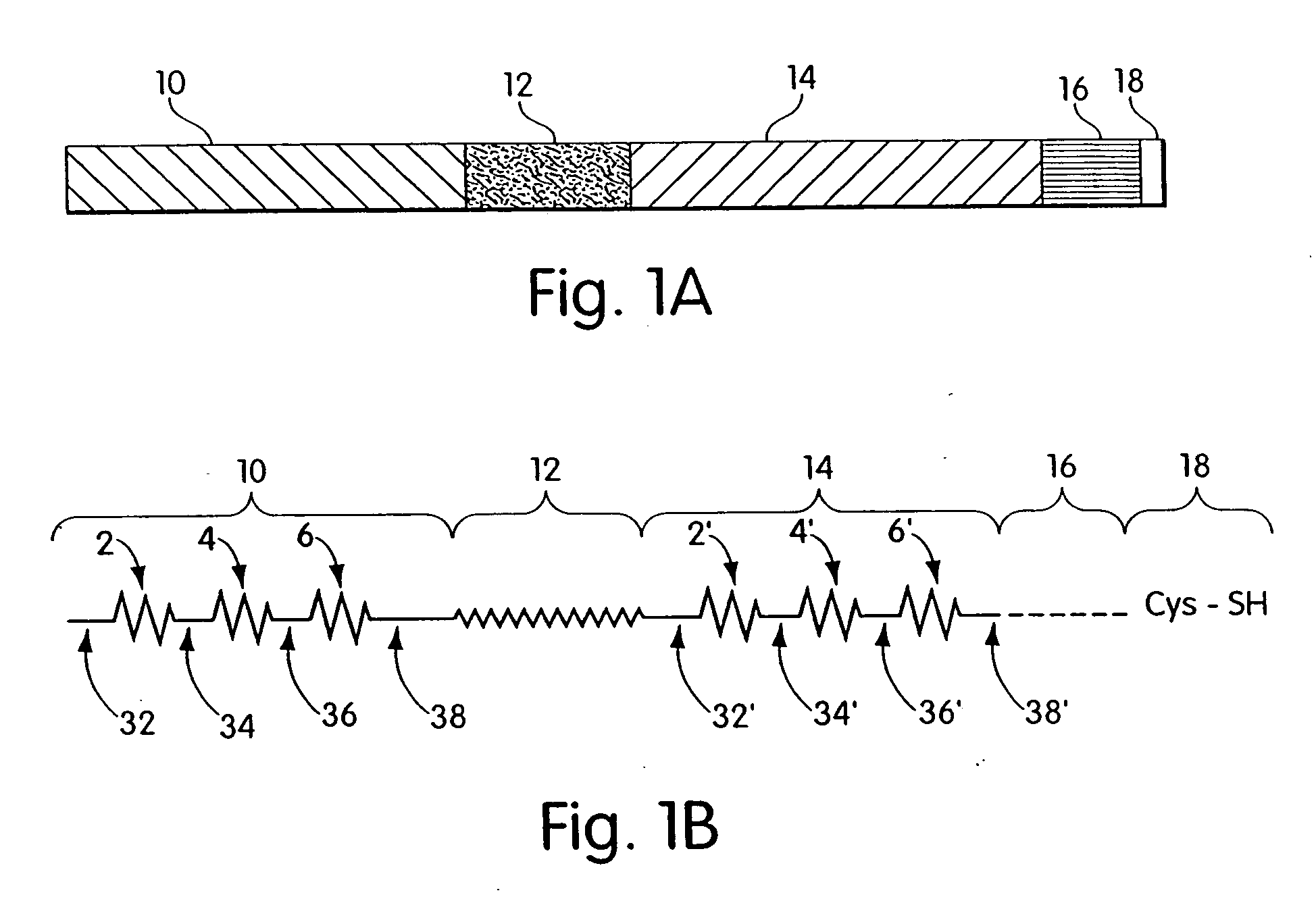 Biosynthetic binding proteins for immuno-targeting