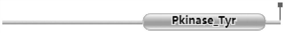 Cad96ca gene related to epidermis development of German cockroach, dsrna of the gene, preparation method and application thereof