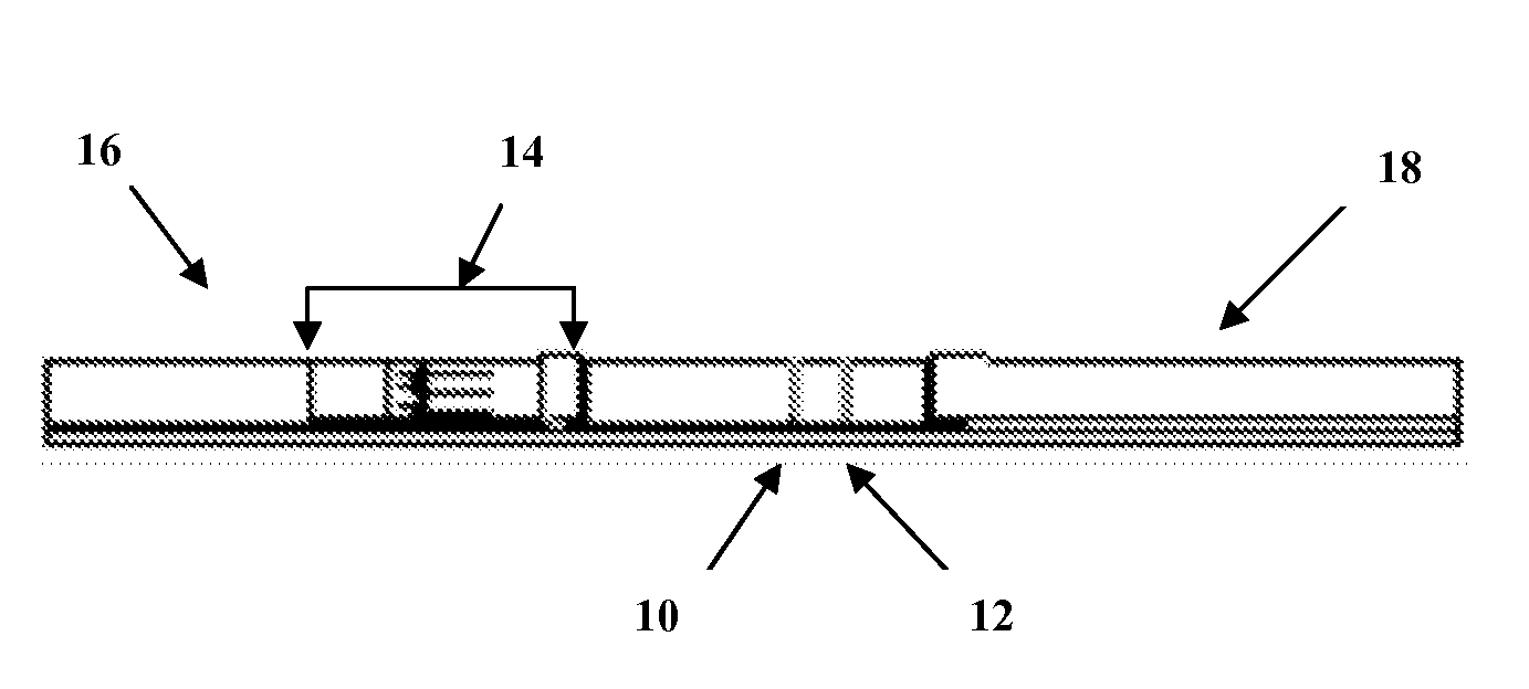 Methods and materials for the detection of dengue virus infection