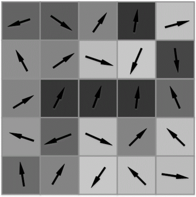 Non local stereopair dense matching method based on image gray scale guiding