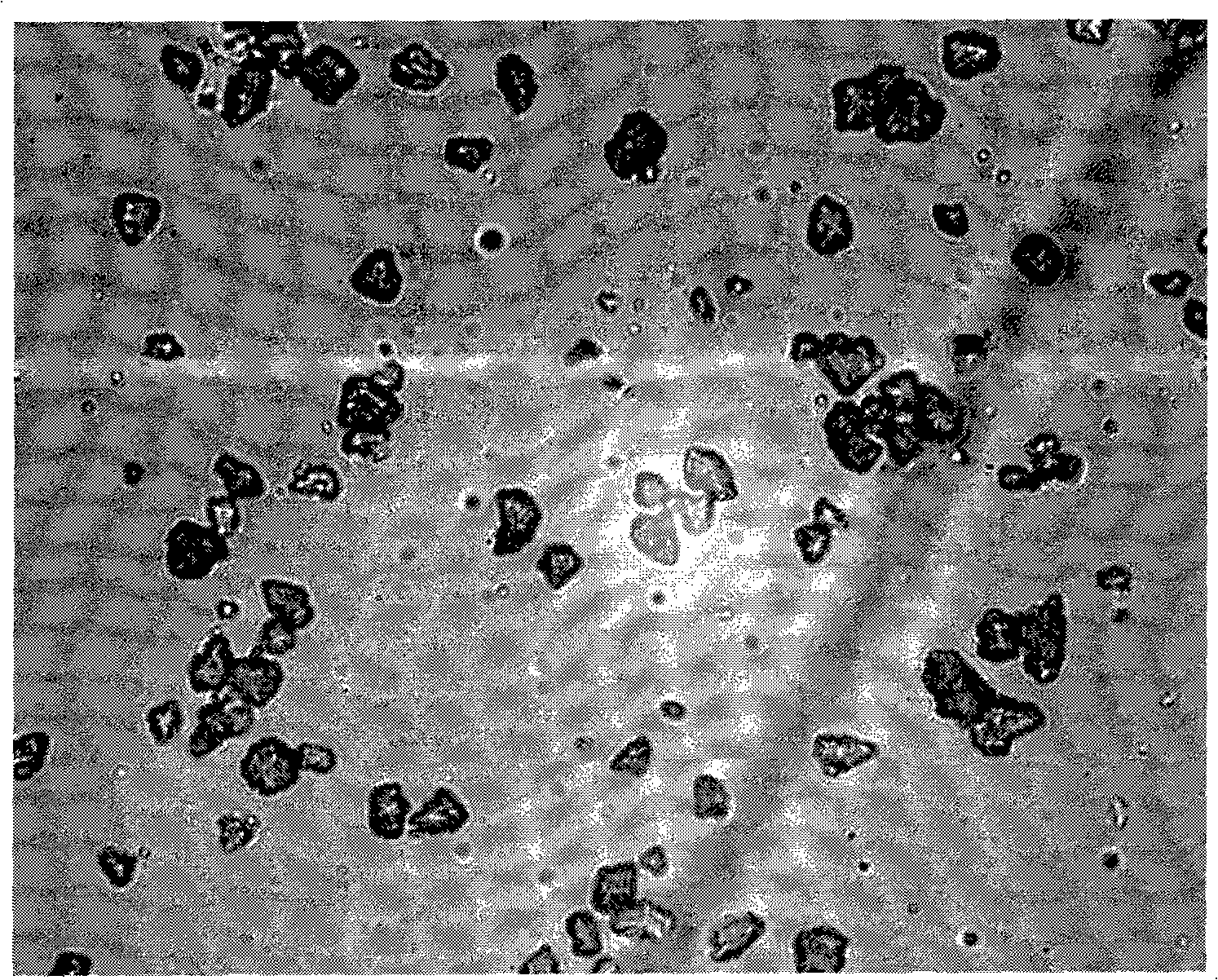 Production method of spherical toner