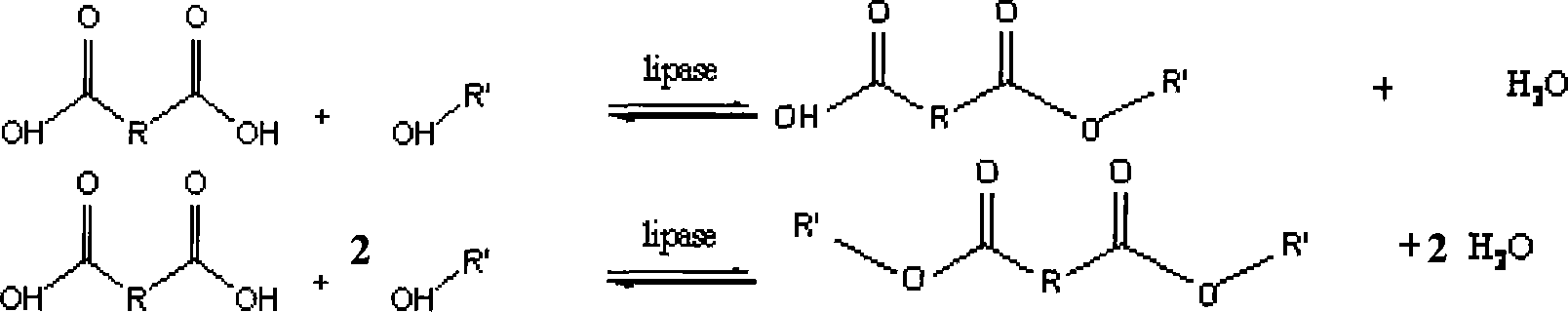 Method for catalytic synthesis of dibasic acid ester by using immobilized lipase