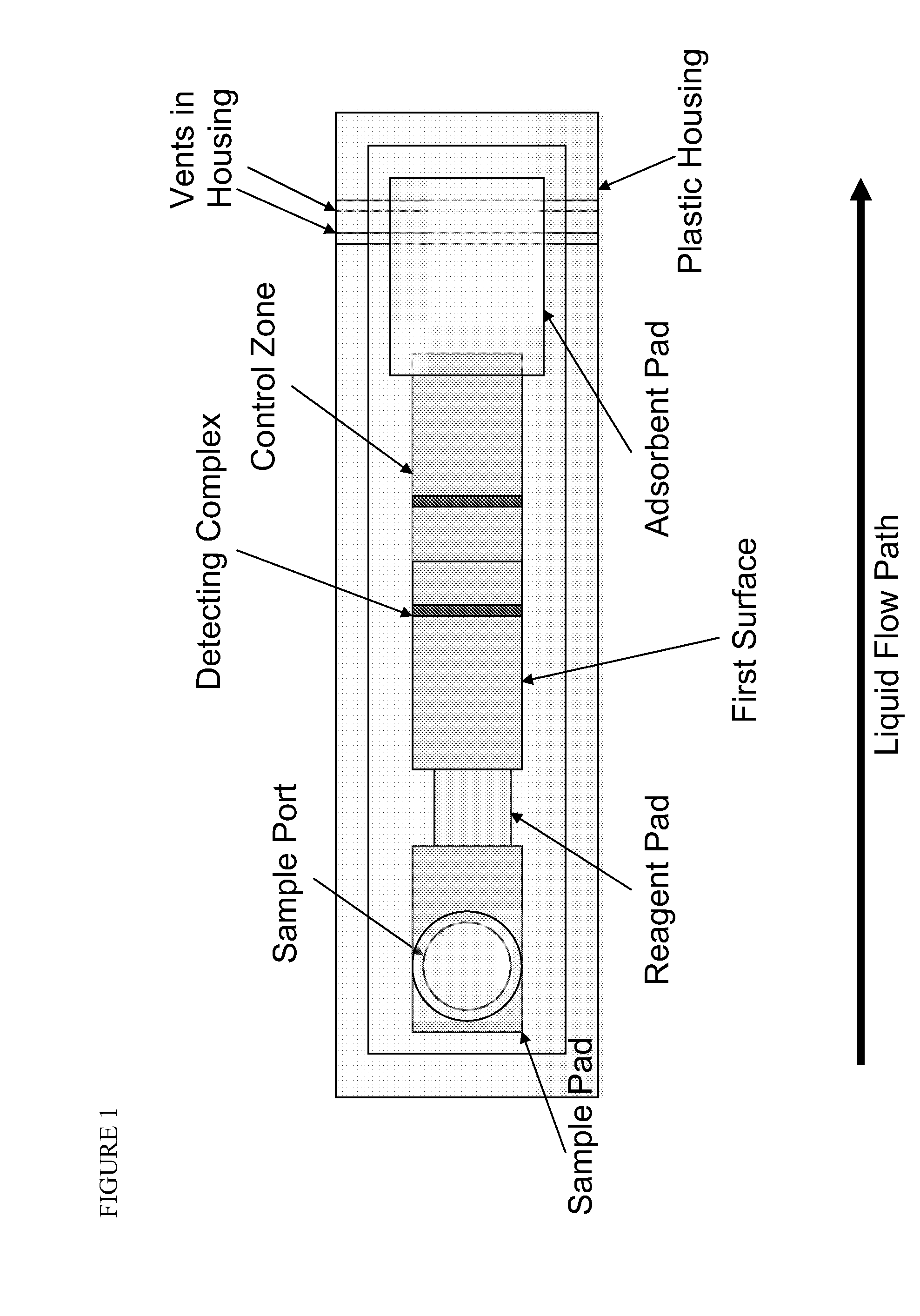 Lateral flow strip assay with immobilized conjugate