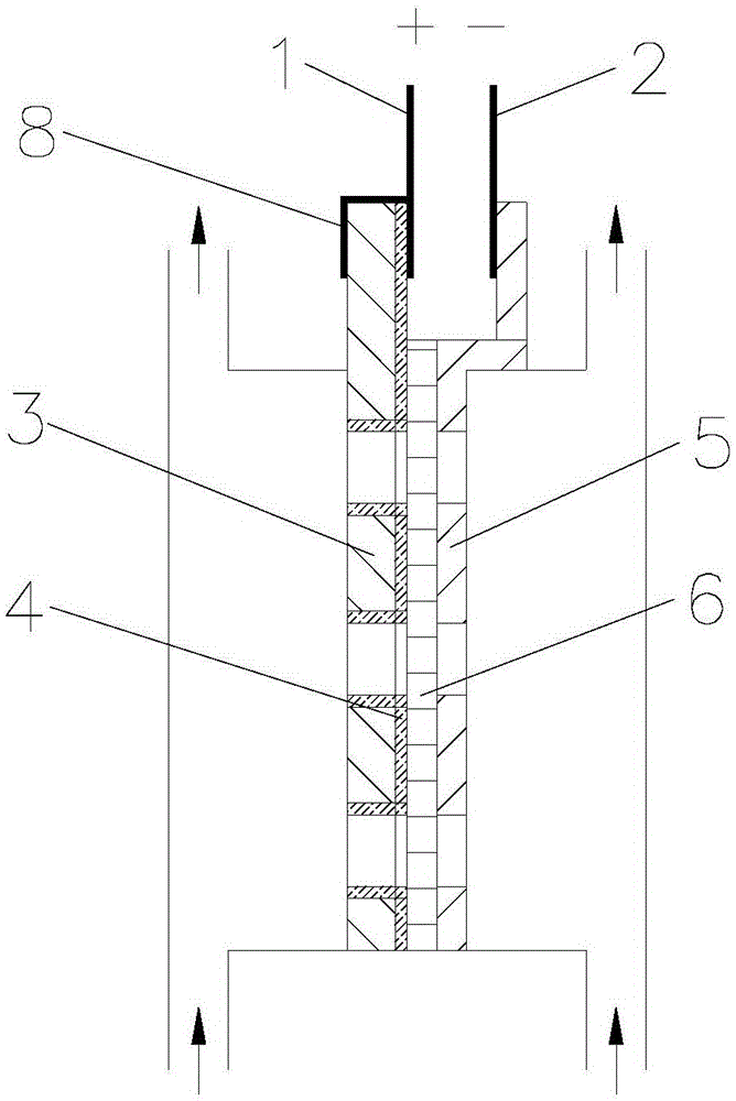 Ozone water electrolysis device directly connected to coated electrode