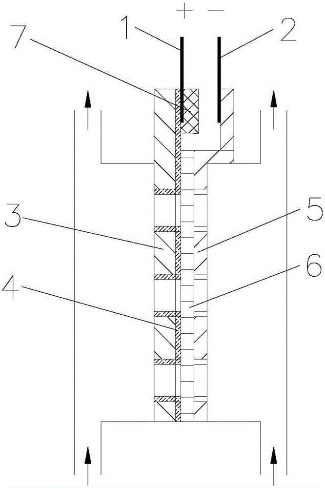 Ozone water electrolysis device directly connected to coated electrode