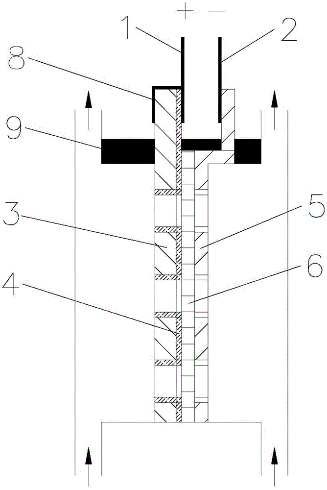 Ozone water electrolysis device directly connected to coated electrode