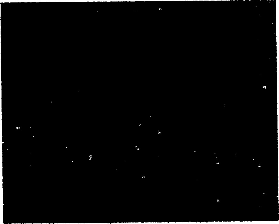 Method for preparing submicron silver-tin dioxide electrical contact material