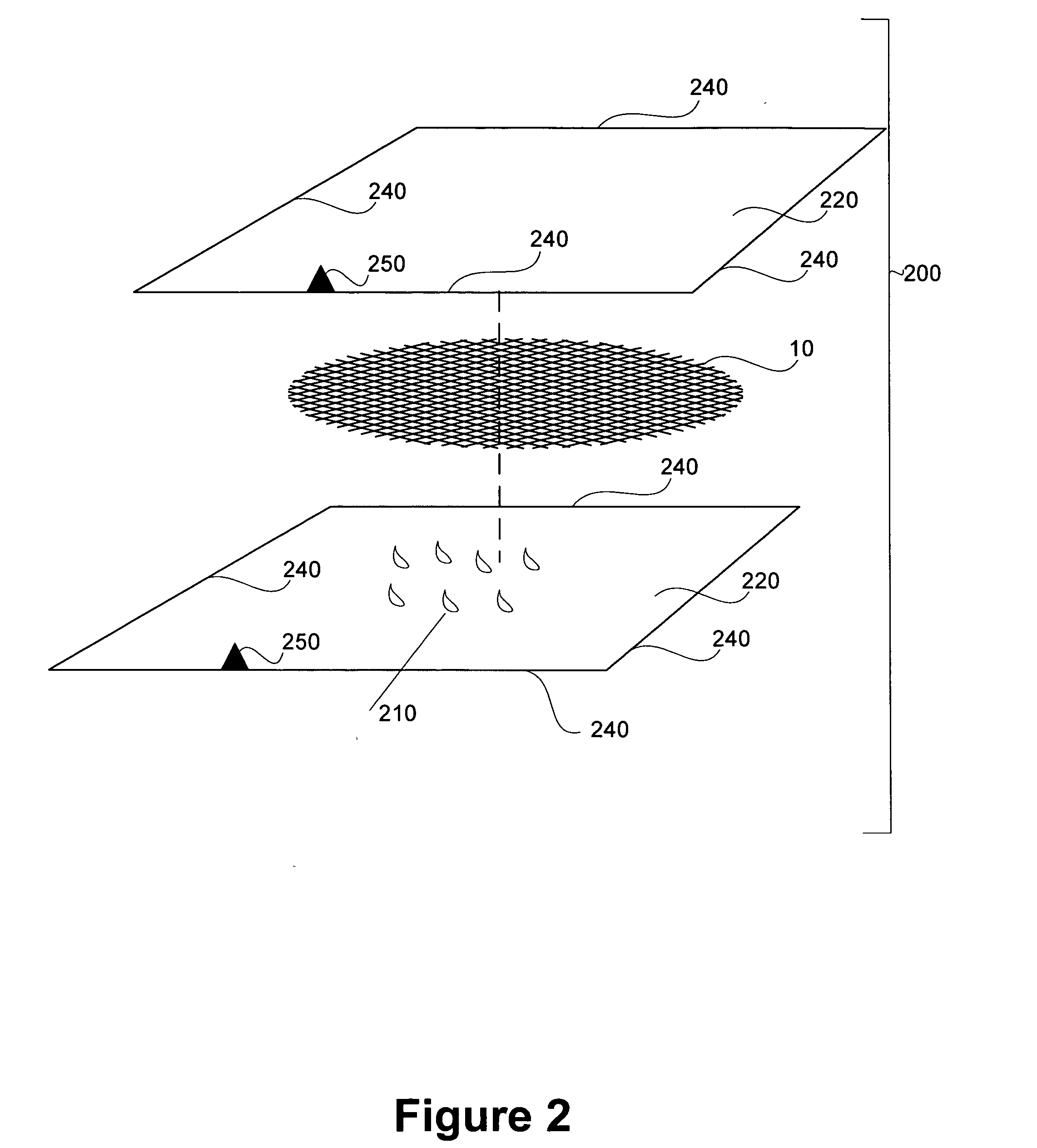 Method and apparatus for treating newborn umbilical stump