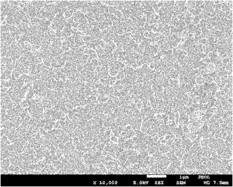 Carbon nano tube reinforced metal matrix composite material and in-situ preparation method thereof