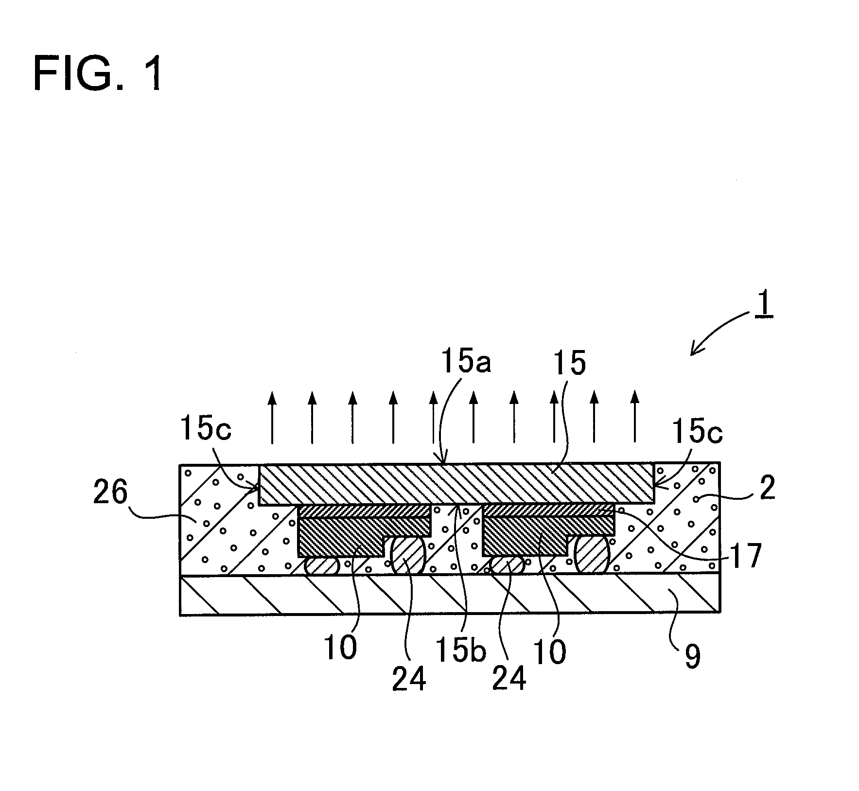 Light emitting apparatus and method for producing the same