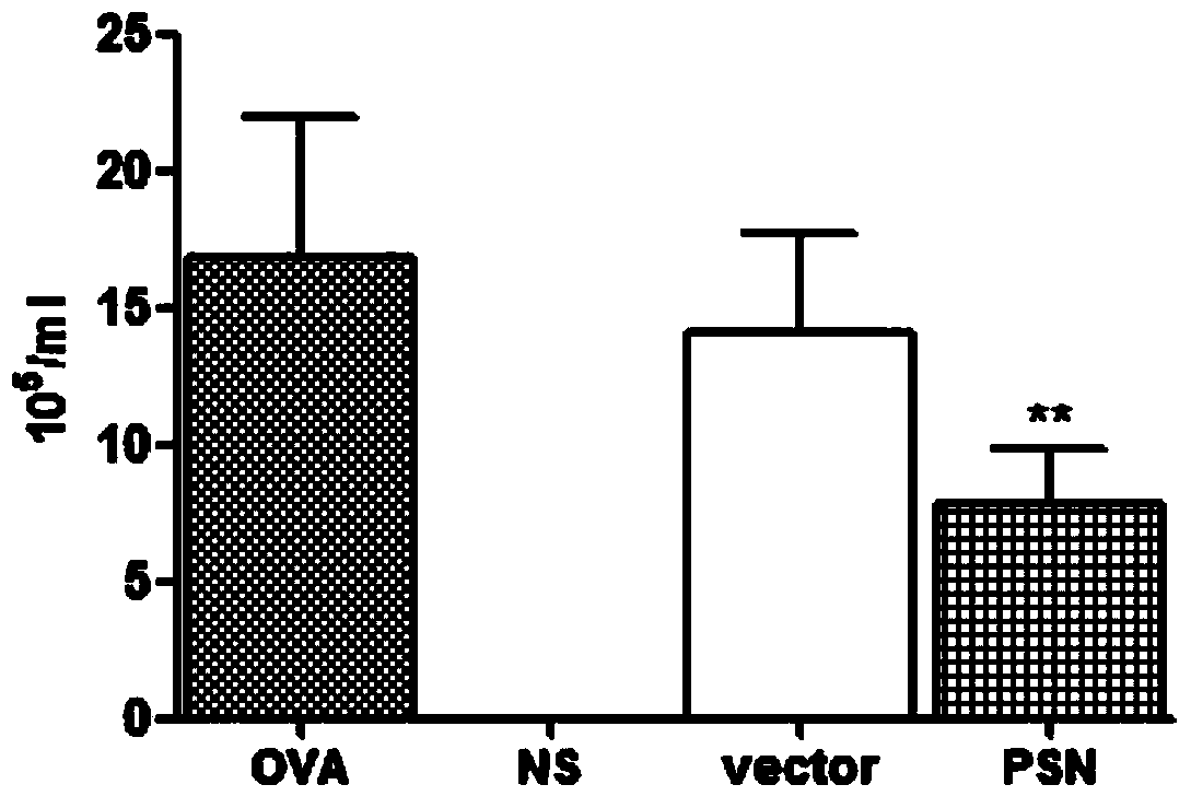 sil-4r-nap (soluble interleukin-4 receptor-neutrophil-activating protein) fusion gene