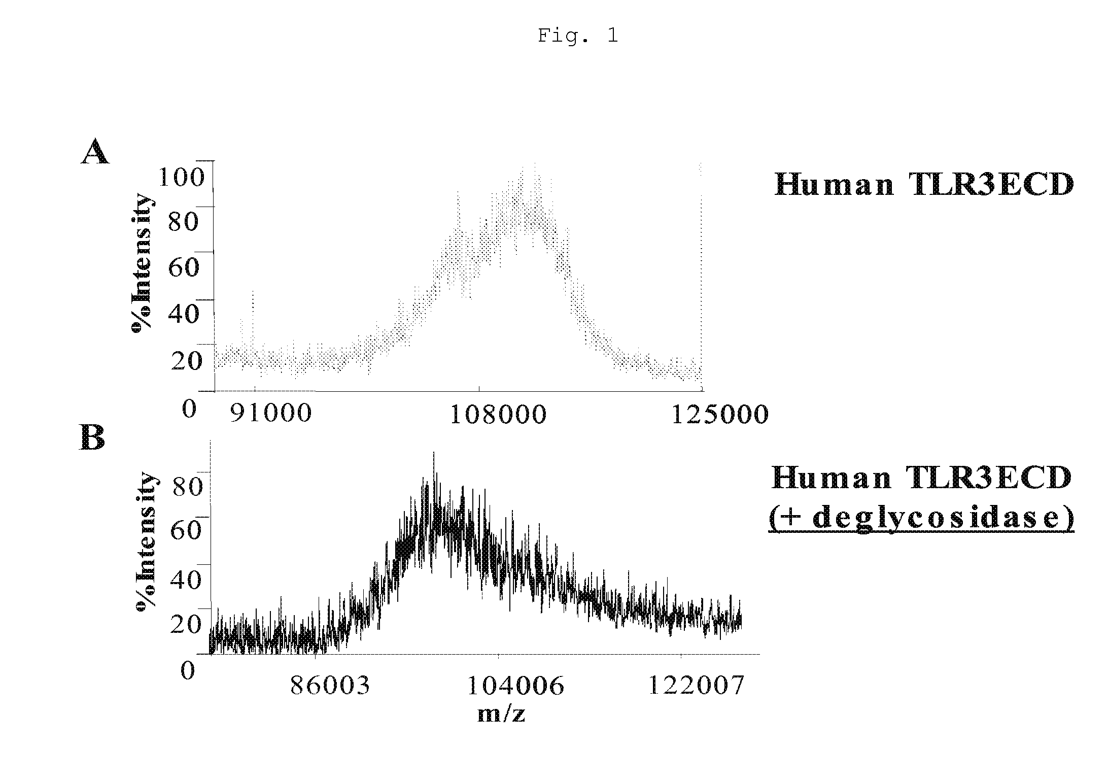 TLR3 Glycosylation Site Muteins and Methods of Use