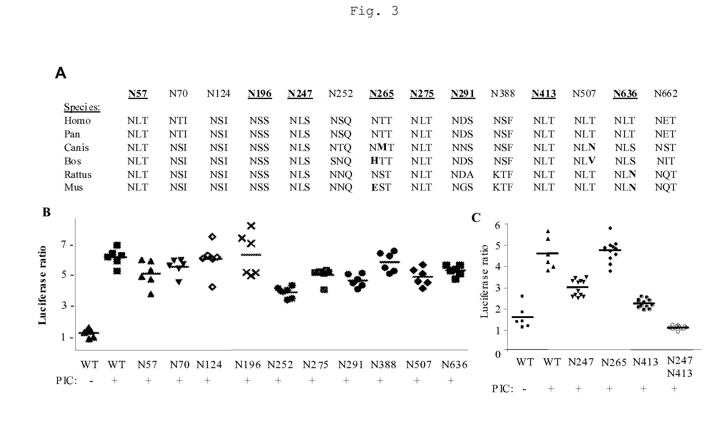 TLR3 Glycosylation Site Muteins and Methods of Use