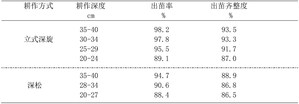 Vertical deep-rotation cultivation method for potato in semi-arid region