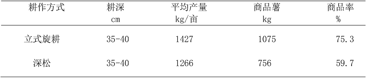 Vertical deep-rotation cultivation method for potato in semi-arid region