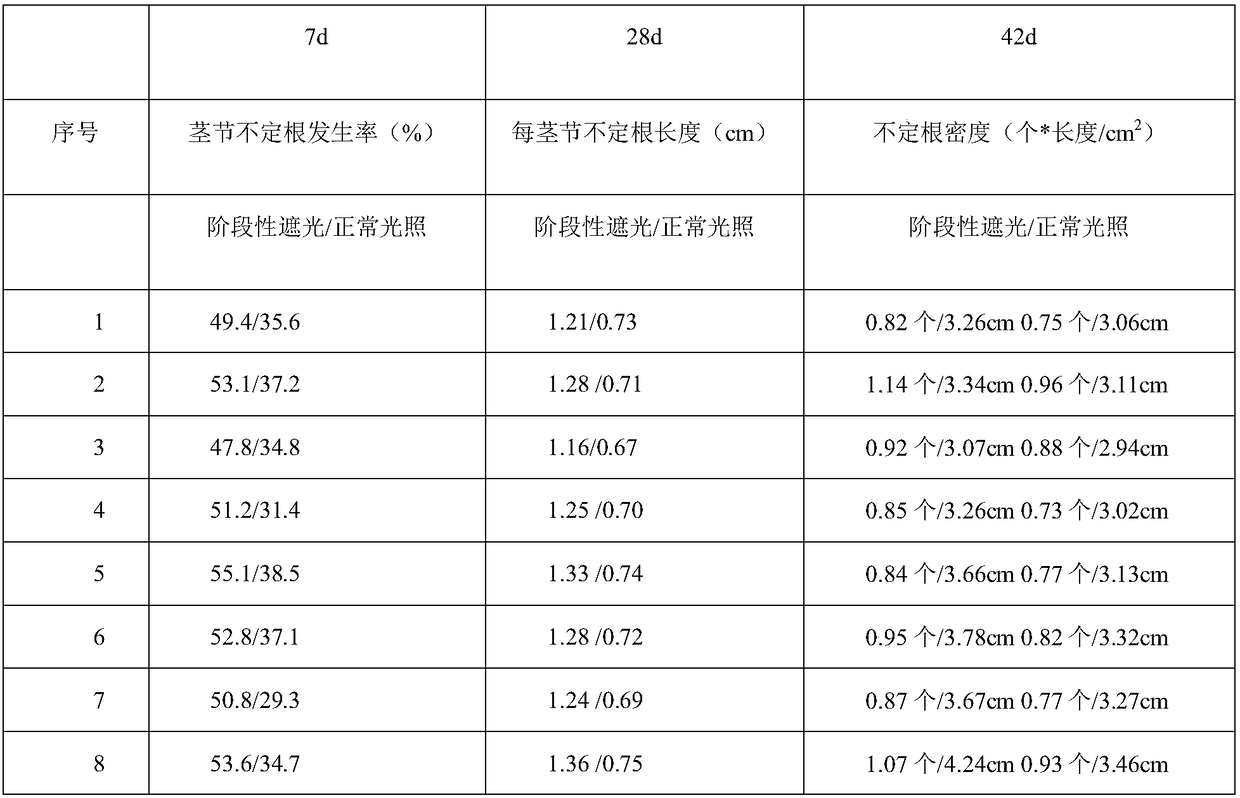 A method for promoting adventitious root growth and root network layer formation of seashore paspalum seed stems