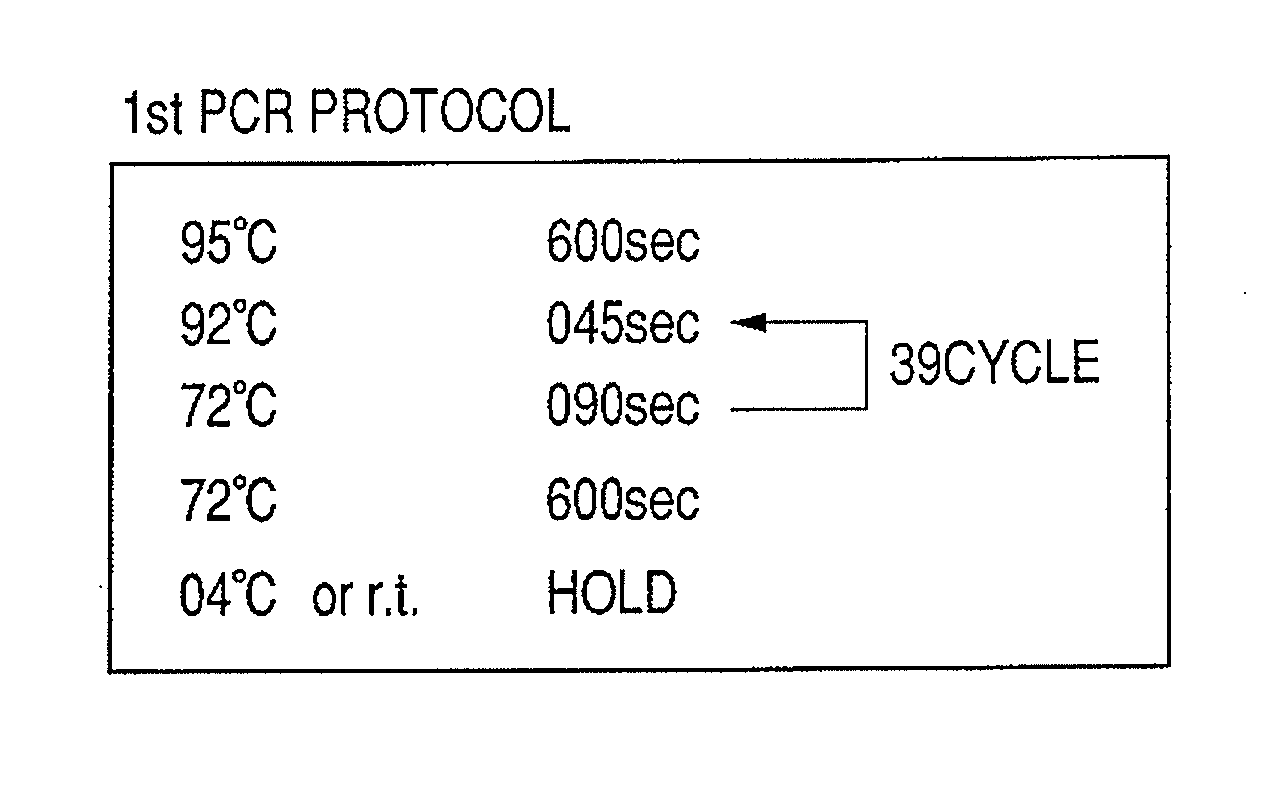 Probe, probe set, probe-immobilized carrier, and genetic testing method