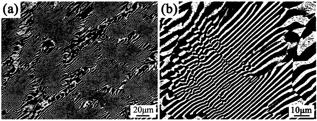 Nickel-aluminum-chromium-molybdenum-iron eutectic alloy and preparation method thereof