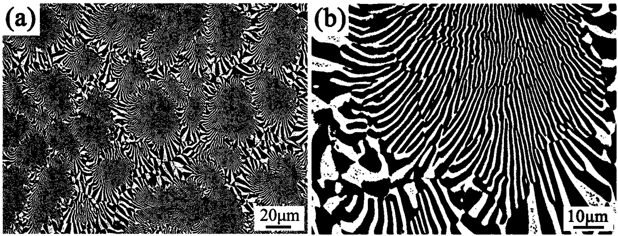 Nickel-aluminum-chromium-molybdenum-iron eutectic alloy and preparation method thereof